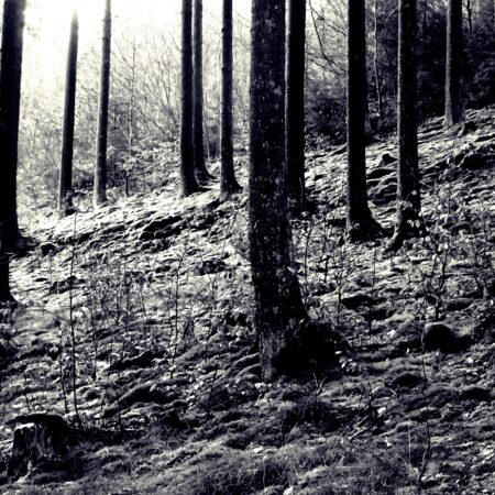 Sterbebild 44
