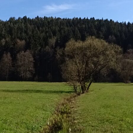 Sterbebild 47