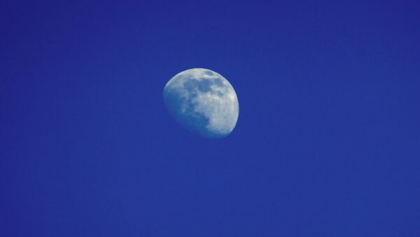 Sterbebild 4