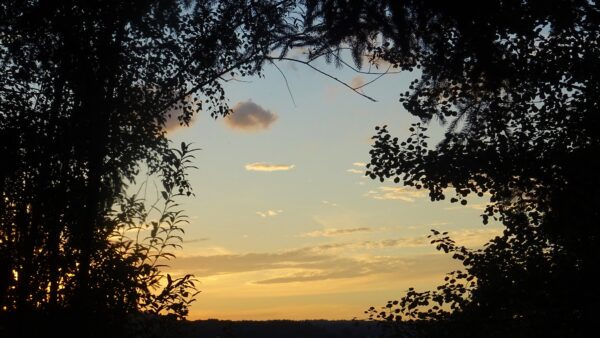 Sterbebild 3