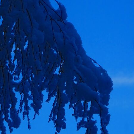Sterbebild 38