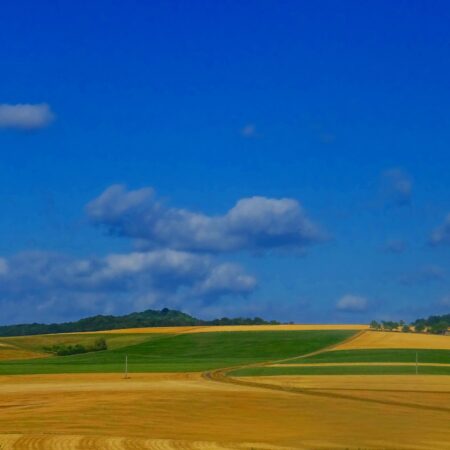 Sterbebild 26