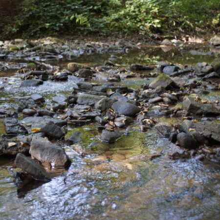 Sterbebild 61