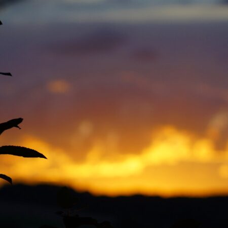 Sterbebild 18