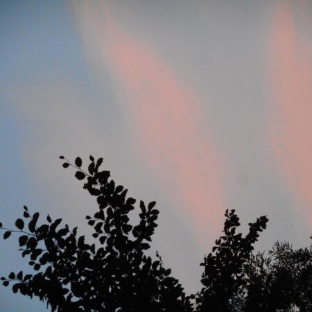 Sterbebild 30