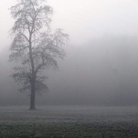 Sterbebild 48